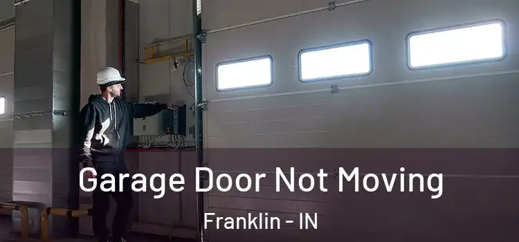  Garage Door Not Moving Franklin - IN