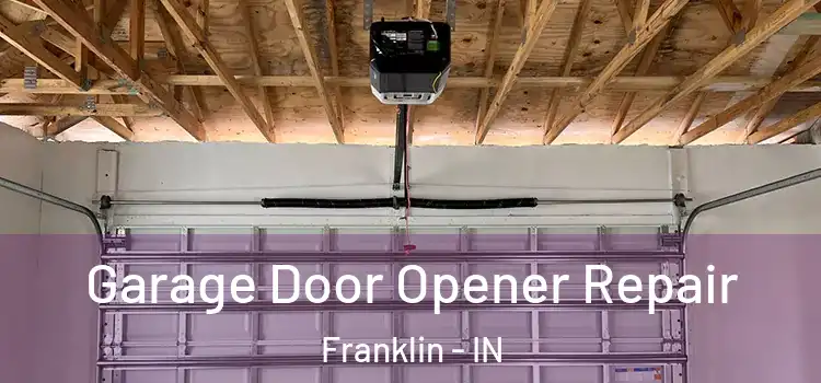  Garage Door Opener Repair Franklin - IN