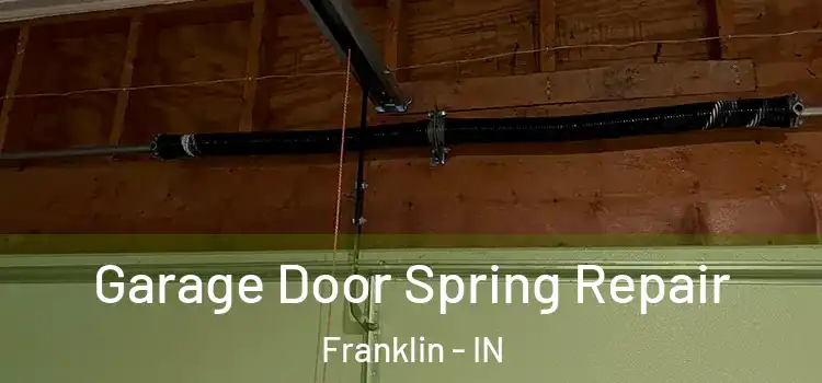  Garage Door Spring Repair Franklin - IN