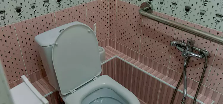 Meeting Diverse Needs With Accessible Restroom Solutions in Franklin, IN