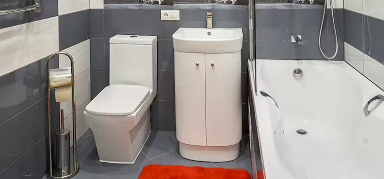 Hansgrohe Shaving Mirror Franklin