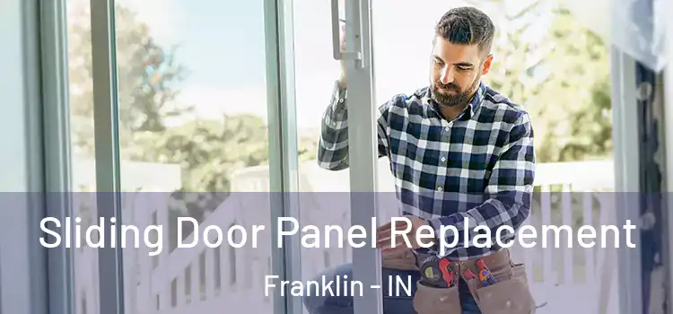  Sliding Door Panel Replacement Franklin - IN